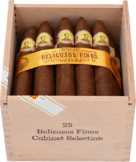 Bolívar | Belicosos Finos