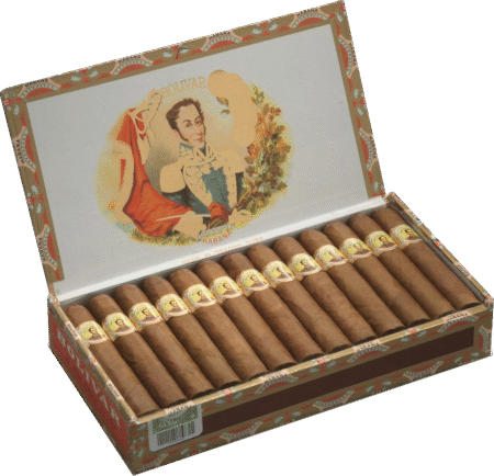 Bolívar | Royal Coronas