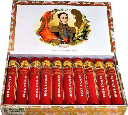 Bolívar | Royal Coronas