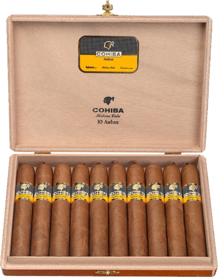 Cohiba | Ambar