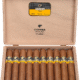Cohiba | Ambar