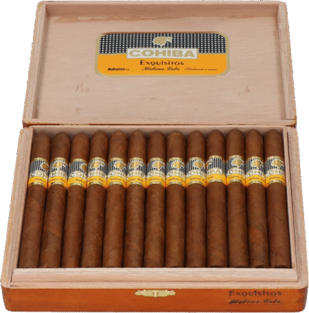 Cohiba | Exquisitos