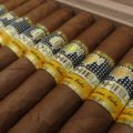 Cohiba | Exquisitos