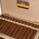 Cohiba | Maduro 5 Genios