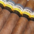 Cohiba | Maduro 5 Secretos