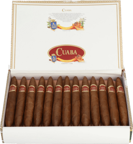 Cuaba | Exclusivos
