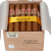 H. Upmann | Connossieur B