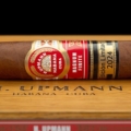 H. Upmann | Magnum Finite Edición Limitada 2024