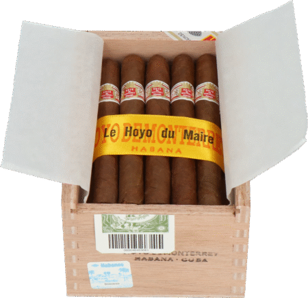 Hoyo de Monterrey | Le Hoyo du Maire