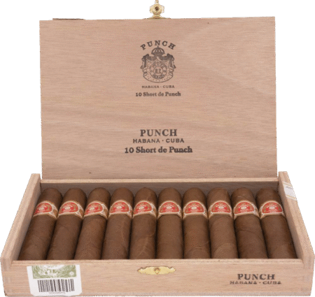 Punch | Short de Punch