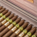 Trinidad | Fundadores Vintage X Humidor 55 Aniversario
