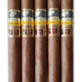 Cohiba | Novedosos