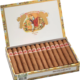 Romeo y Julieta | Mille Fleurs