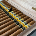 Cohiba | Espléndidos Gran Reserva Cosecha 2017/2023
