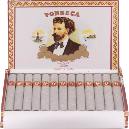Fonseca | KDT Cadetes