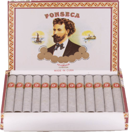 Fonseca | KDT Cadetes