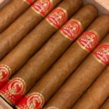 Partagás | Cedros – Year of the Snake 2025