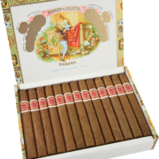 Romeo y Julieta | Petit Julietas