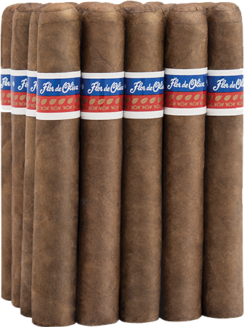 Oliva | Flor de Oliva Robusto