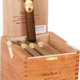 Oliva | Serie G Double Robusto Round